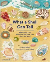 Lo que puede contar una concha - What A Shell Can Tell