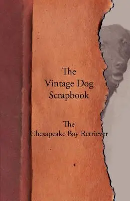 The Vintage Dog Scrapbook - El Chesapeake Bay Retriever - The Vintage Dog Scrapbook - The Chesapeake Bay Retriever