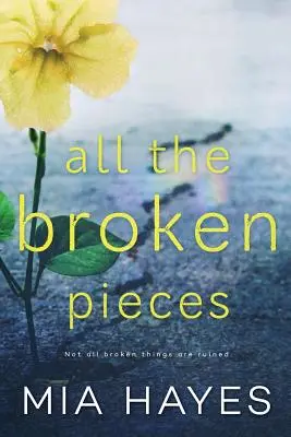 Todas las piezas rotas - All The Broken Pieces