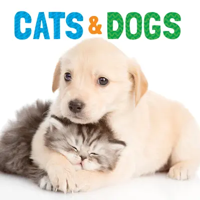 Perros y gatos - Cats & Dogs