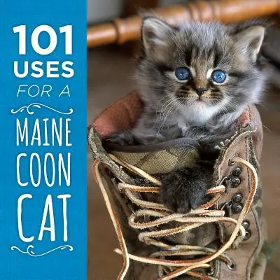 101 usos para un gato Maine Coon - 101 Uses for a Maine Coon Cat