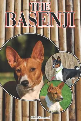 El Basenji: Guía completa para principiantes: Comprar, Tener, Salud, Aseo, Adiestramiento, Obediencia, Comprensión - The Basenji: A Complete and Comprehensive Beginners Guide To: Buying, Owning, Health, Grooming, Training, Obedience, Understanding