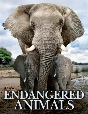 Animales en peligro - Endangered Animals