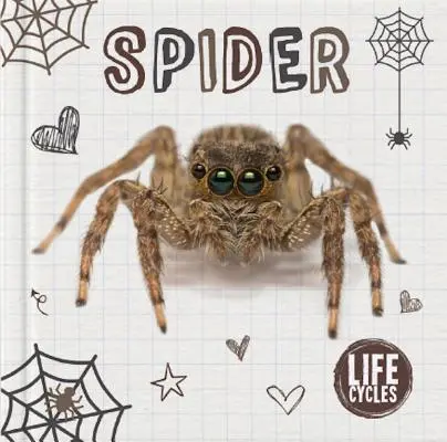 Araña - Spider