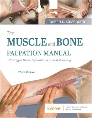 Manual de palpación muscular y ósea con puntos gatillo, patrones de derivación y estiramientos - The Muscle and Bone Palpation Manual with Trigger Points, Referral Patterns and Stretching