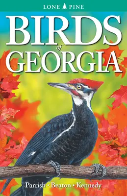 Aves de Georgia - Birds of Georgia