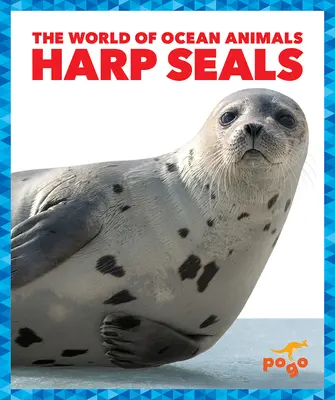 Focas arpa - Harp Seals