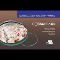 Colibacilosis - Principales retos en avicultura - Colibacillosis - Main Challenges in Poultry Farming