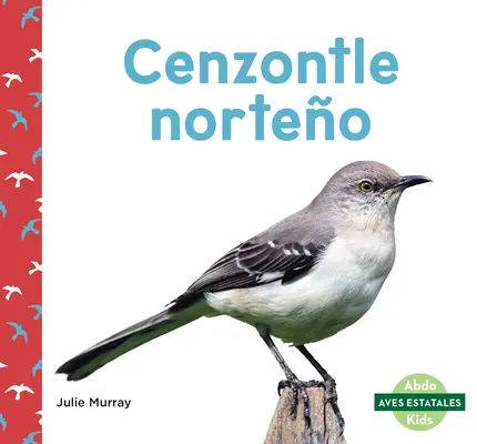 Cenzontle Norteo (Northern Mockingbirds)