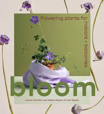 Florecer: Plantas con flores para interiores y balcones - Bloom: Flowering Plants for Indoors and Balconies