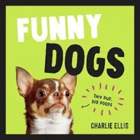 Funny Dogs - Una divertidísima colección de los perros más graciosos del mundo y de los memes más divertidos - Funny Dogs - A Hilarious Collection of the World's Silliest Dogs and Most Relatable Memes