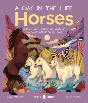 Caballos (un día en la vida): ¿Qué hacen todo el día los caballos salvajes como los mustangs y los ponis? - Horses (a Day in the Life): What Do Wild Horses Like Mustangs and Ponies Get Up to All Day?