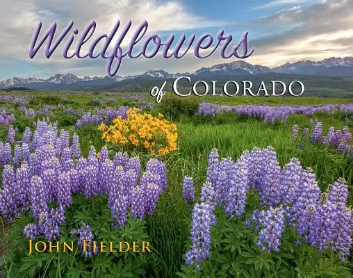 Flores silvestres de Colorado - Wildflowers of Colorado