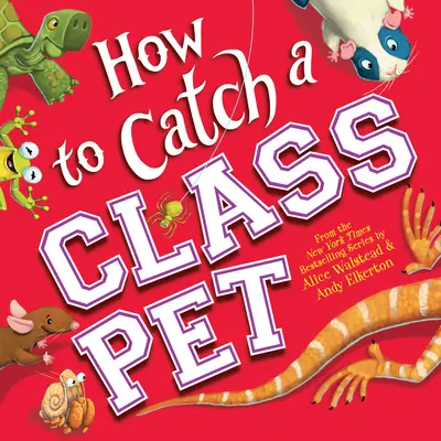 Cómo atrapar a una mascota de la clase - How to Catch a Class Pet