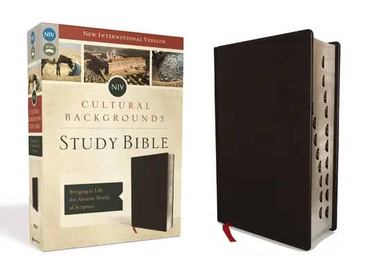 NVI, Biblia de estudio de trasfondos culturales, indexada, cuero aglomerado: Dar vida al mundo antiguo de las Escrituras - NIV, Cultural Backgrounds Study Bible, Indexed, Bonded Leather: Bringing to Life the Ancient World of Scripture