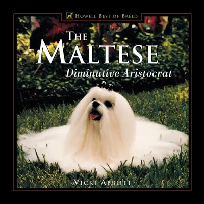 El Maltés Aristócrata diminuto - The Maltese: Diminutive Aristocrat