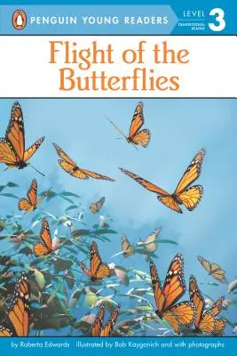 El vuelo de las mariposas - Flight of the Butterflies