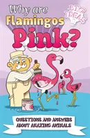 ¿Por qué son rosas los flamencos? - Preguntas y respuestas sobre animales asombrosos (Potter William (Autor)) - Why Are Flamingos Pink? - Questions and Answers About Amazing Animals (Potter William (Author))