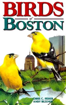 Aves de Boston - Birds of Boston