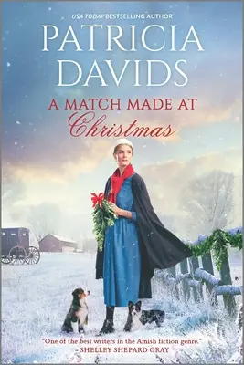 Una pareja de Navidad - A Match Made at Christmas