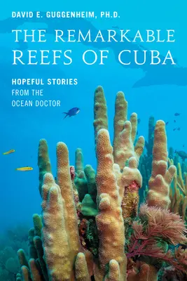 Los notables arrecifes de Cuba: historias esperanzadoras del médico de los océanos - The Remarkable Reefs of Cuba: Hopeful Stories from the Ocean Doctor