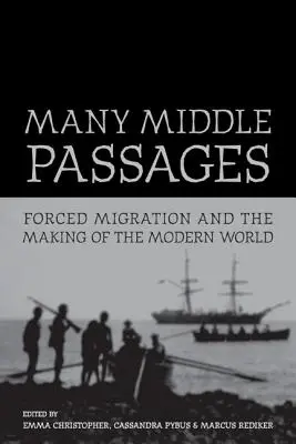 Muchos Pasajes Intermedios: Forced Migration and the Making of the Modern Worldvolumen 5 - Many Middle Passages: Forced Migration and the Making of the Modern Worldvolume 5