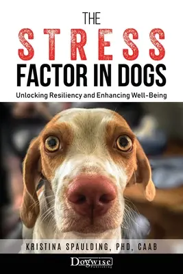 El Factor Estrés en los Perros: Desbloqueando la Resiliencia y Mejorando el Bienestar - The Stress Factor in Dogs: Unlocking Resiliency and Enhancing Well-Being