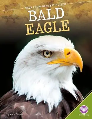 Águila Calva - Bald Eagle