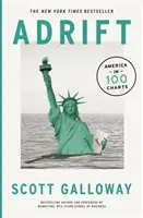 A la deriva: 100 gráficos que revelan por qué Estados Unidos está al borde del cambio - Adrift - 100 Charts that Reveal Why America is on the Brink of Change