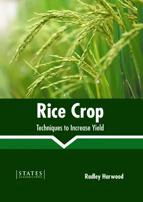 Cultivo del arroz: Técnicas para aumentar el rendimiento - Rice Crop: Techniques to Increase Yield