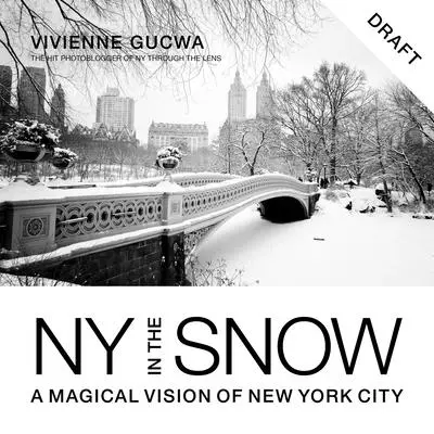 Nueva York en la nieve: Una visión mágica de la ciudad de Nueva York - New York in the Snow: A Magical Vision of New York City