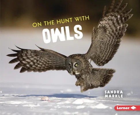 A la caza de búhos - On the Hunt with Owls