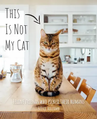 Este no es mi gato: Amigos felinos que eligieron a sus humanos - This Is Not My Cat: Feline Friends Who Picked Their Humans