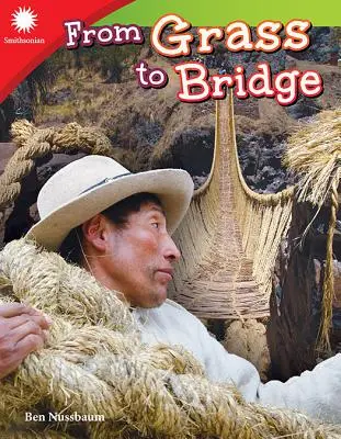 De la Hierba al Puente - From Grass to Bridge