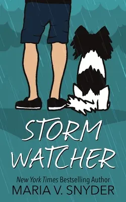 Vigilante de tormentas - Storm Watcher