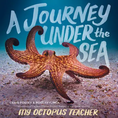 Un viaje bajo el mar - A Journey Under the Sea