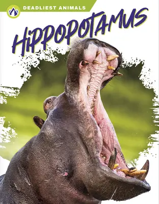 Hipopótamo - Hippopotamus