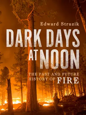 Días oscuros al mediodía: el futuro del fuego - Dark Days at Noon: The Future of Fire