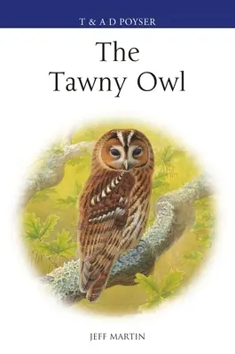 El cárabo - The Tawny Owl