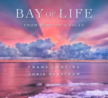 La bahía de la vida: Del viento a las ballenas - Bay of Life: From Wind to Whales