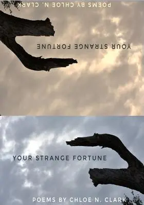 Tu extraña fortuna - Your Strange Fortune