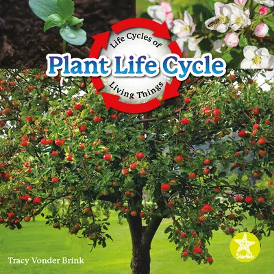 Ciclo de vida de las plantas - Plant Life Cycle