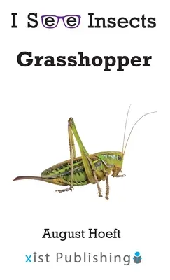 Saltamontes - Grasshopper