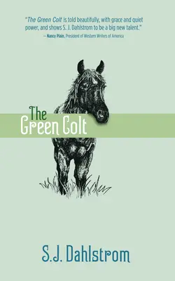 El potro verde: Las aventuras de Wilder Good nº 4 - The Green Colt: The Adventures of Wilder Good #4