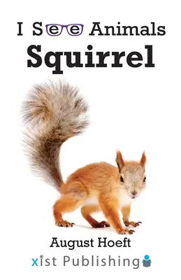 Ardilla - Squirrel