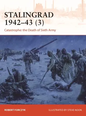 Stalingrado 1942-43 (3): La Catástrofe: La muerte del 6º Ejército - Stalingrad 1942-43 (3): Catastrophe: The Death of 6th Army