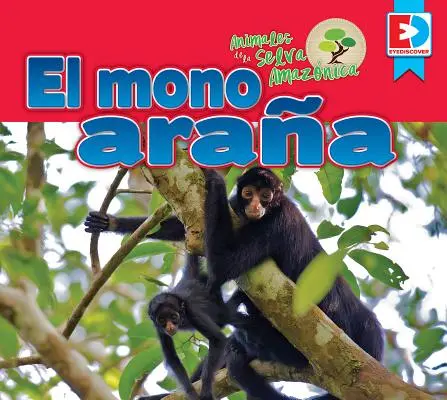 Animales de la Selva Amazónica -- El Mono Araa - Animales de la Selva Amaznica -- El Mono Araa