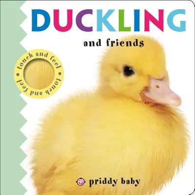 El patito y sus amigos - Duckling and Friends