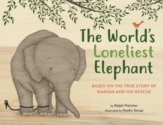 El elefante más solitario del mundo: Basado en la historia real de Kaavan y su rescate - The World's Loneliest Elephant: Based on the True Story of Kaavan and His Rescue