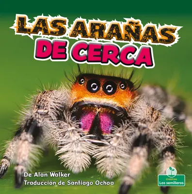 Las Arañas de Cerca - Las Araas de Cerca (Spiders Up Close)